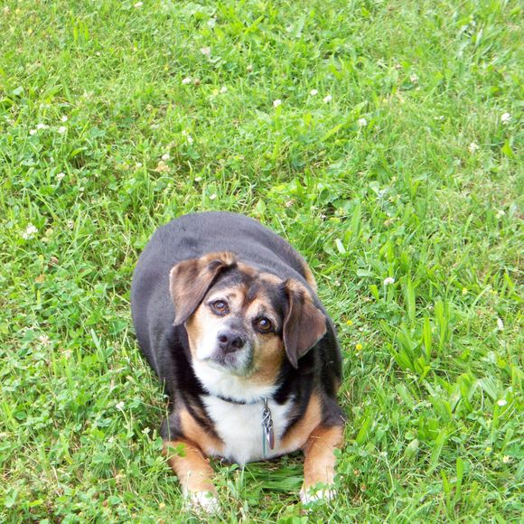 Meet your Posher, Diane - Picture 1 of 1